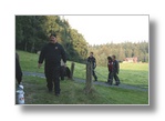 ZUM VERGRSSERN ANKLICKEN