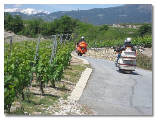 FRHLINGSAUSFAHRT VOM 13. MAI 2007 - STAMM OBERWALLIS