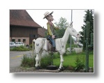 ZUM VERGRSSERN ANKLICKEN