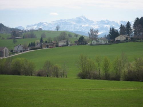 FRHLINGSAUSFAHRT VOM 20. APRIL 2008 - ZRI STAMM