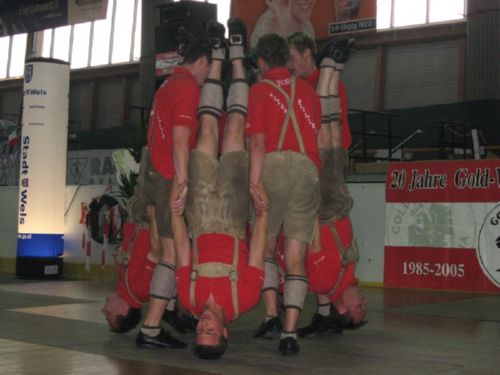 INTERNATIONALES TREFFEN VOM 26. - 29.06.2008 IN STERREICH