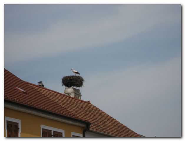 AUSFLUG NACH UNGARN UND TSCHECHIEN VOM 28.07 - 07.08.2009