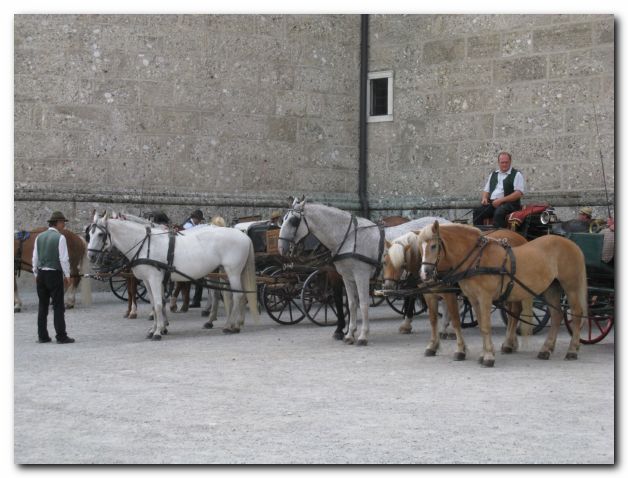 INTERNATIONALES TREFFEN VOM 01. - 04.07.2010 IN STERREICH