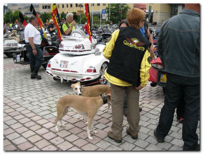 30 JAHRE GWEF VOM 3. - 7.07.2013  IN DEUTSCHLAND