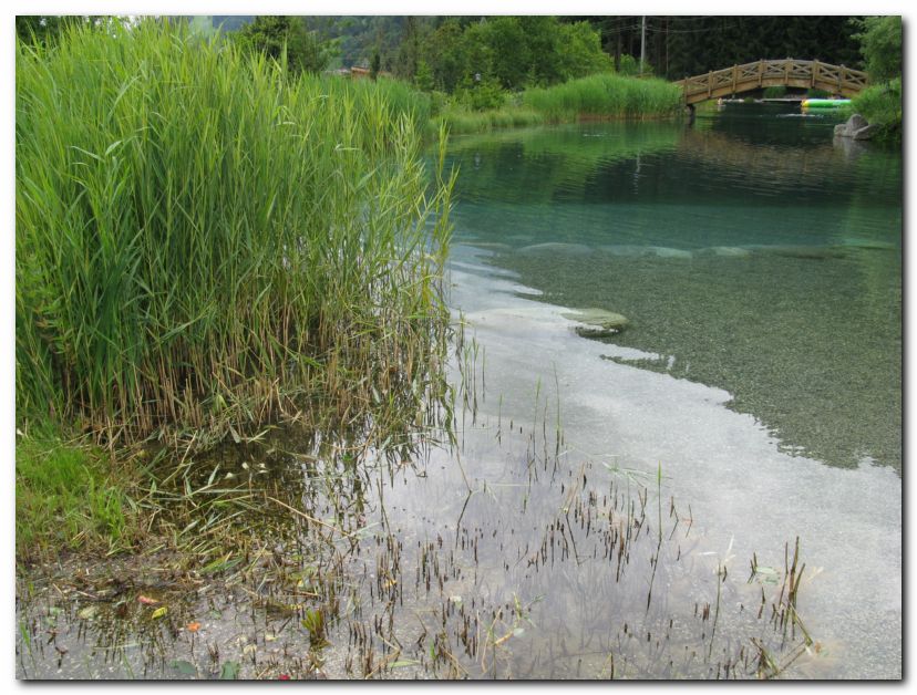 INTERNATIONALES TREFFEN VOM 03.07. - 06.07.2014 IN STERREICH