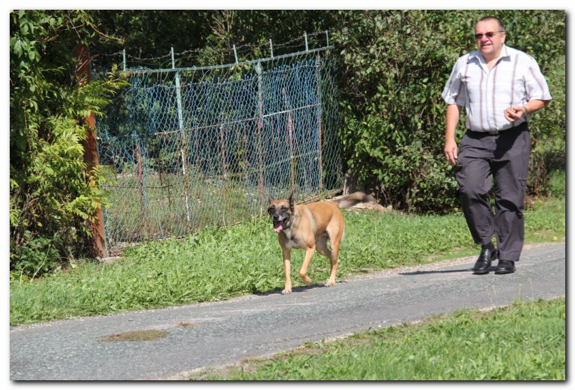 Besuch von Freunden in Ungarn 2015