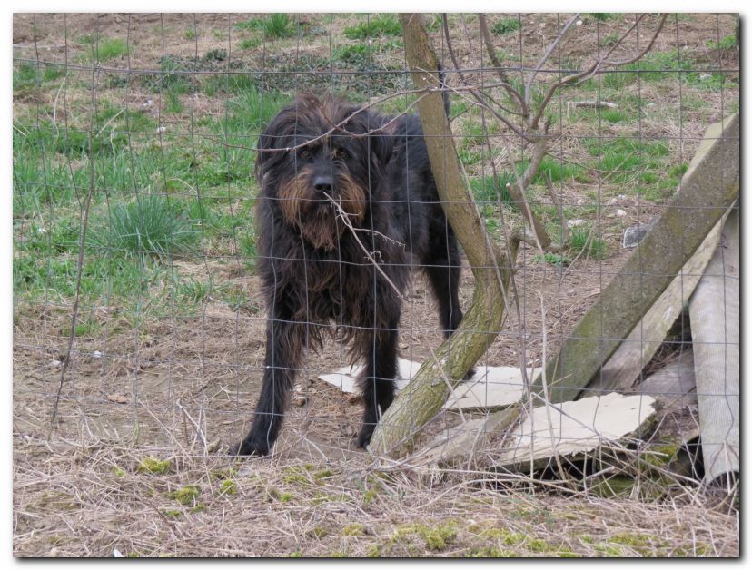 Besuch von Freunden in Ungarn 2015