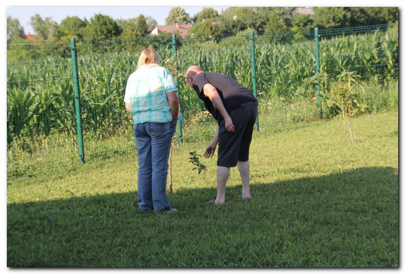 Besuch von Freunden in Ungarn 2015