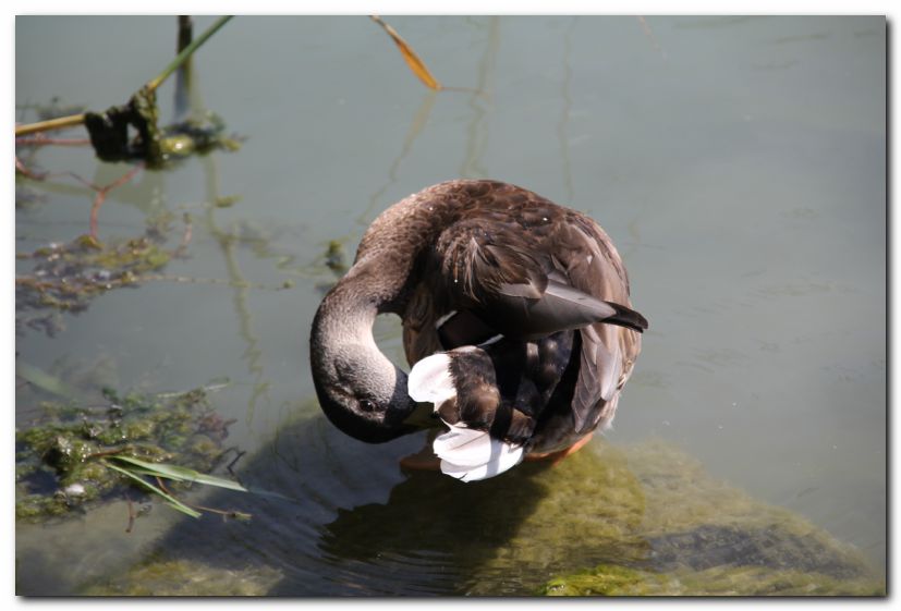 Besuch von Freunden in Ungarn 2015