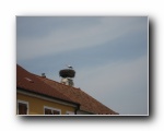 ZUM VERGRSSERN ANKLICKEN!